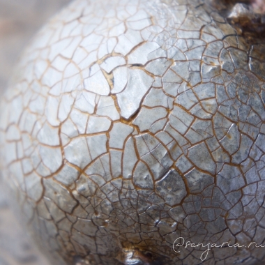 Фотокурс Новогодний декор Фотокурс Новогодний декор