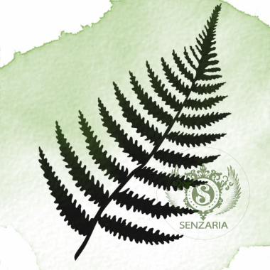 Трафарет - Папоротник 2